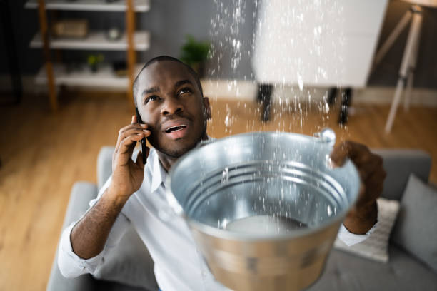 Best Basement water damage restoration  in Smithton, IL