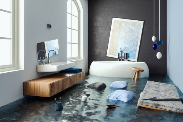Best Mold removal after water damage  in Smithton, IL