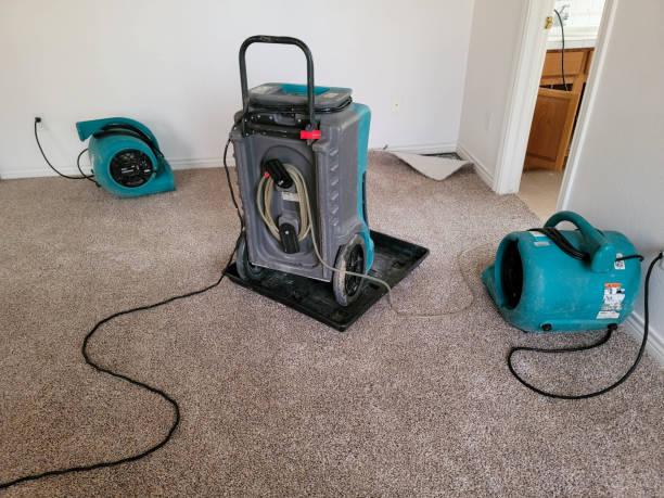  Smithton, IL Water damage restoration Pros
