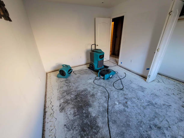 Best Water damage cleanup near me  in Smithton, IL