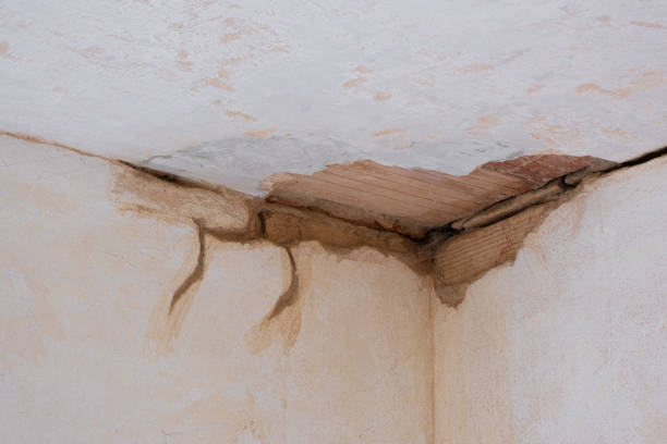 Best Fire Damage Restoration  in Smithton, IL