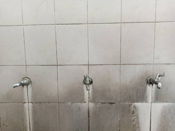 Best Local water damage restoration  in Smithton, IL