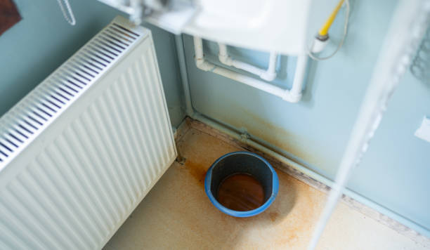 Best Water damage restoration services  in Smithton, IL