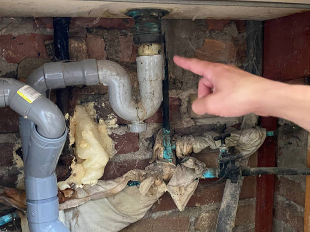 Best 24-hour water damage restoration  in Smithton, IL