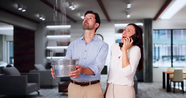 Best Water damage restoration near me  in Smithton, IL