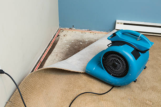 Best Commercial water damage restoration  in Smithton, IL