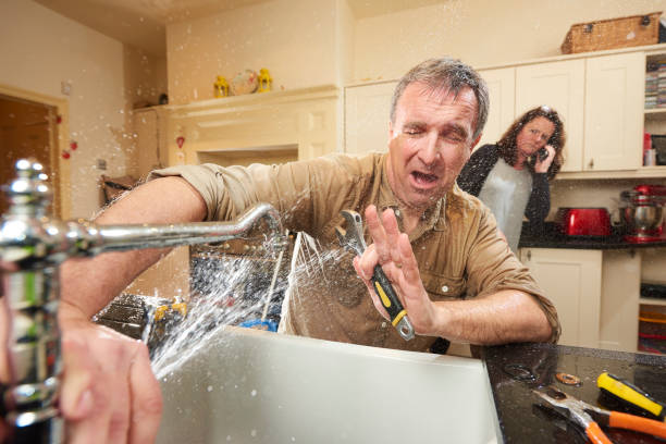 Best Sewage cleanup and water damage restoration  in Smithton, IL